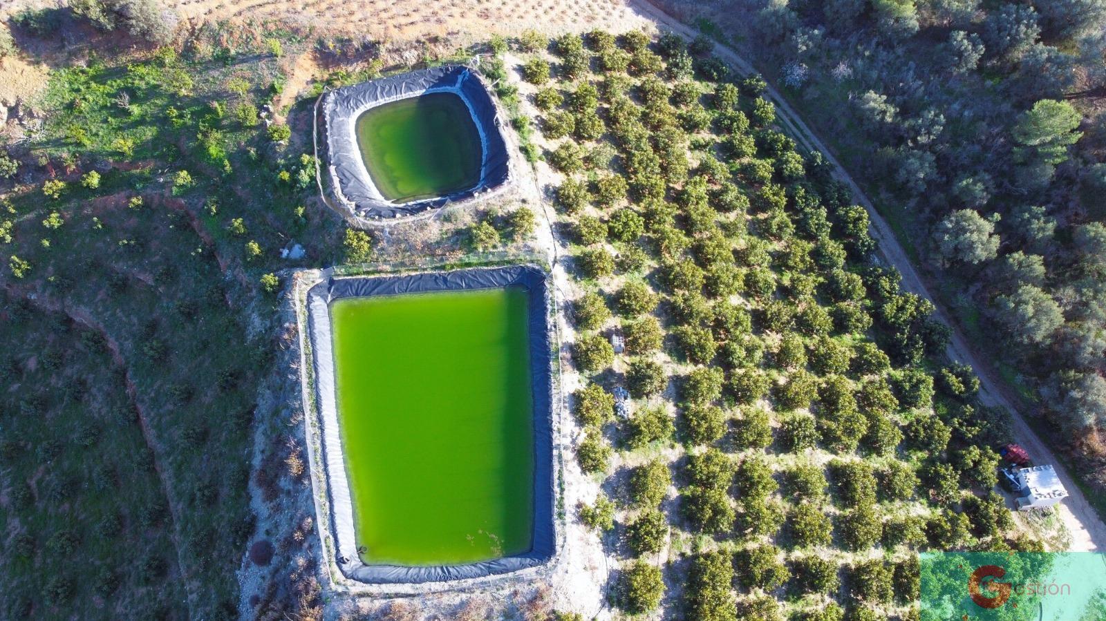 Venta de finca rústica en Itrabo