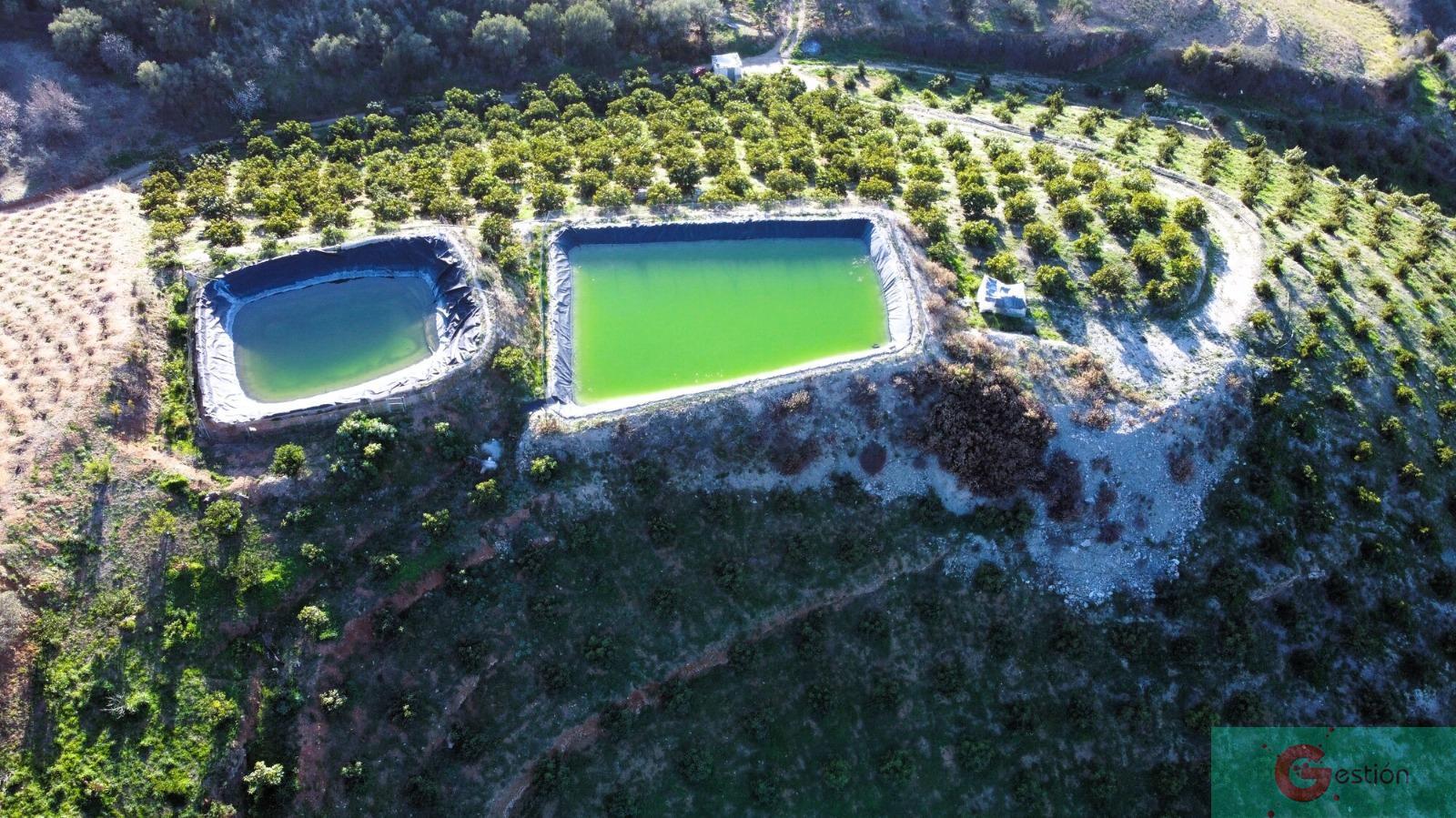 Venta de finca rústica en Itrabo