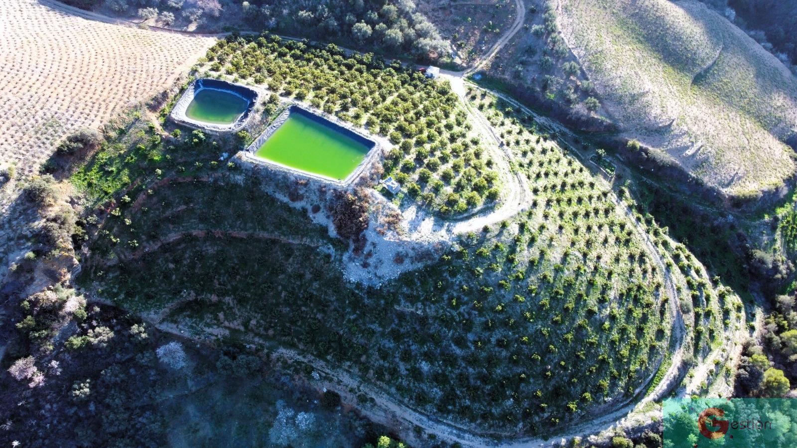 Venta de finca rústica en Itrabo