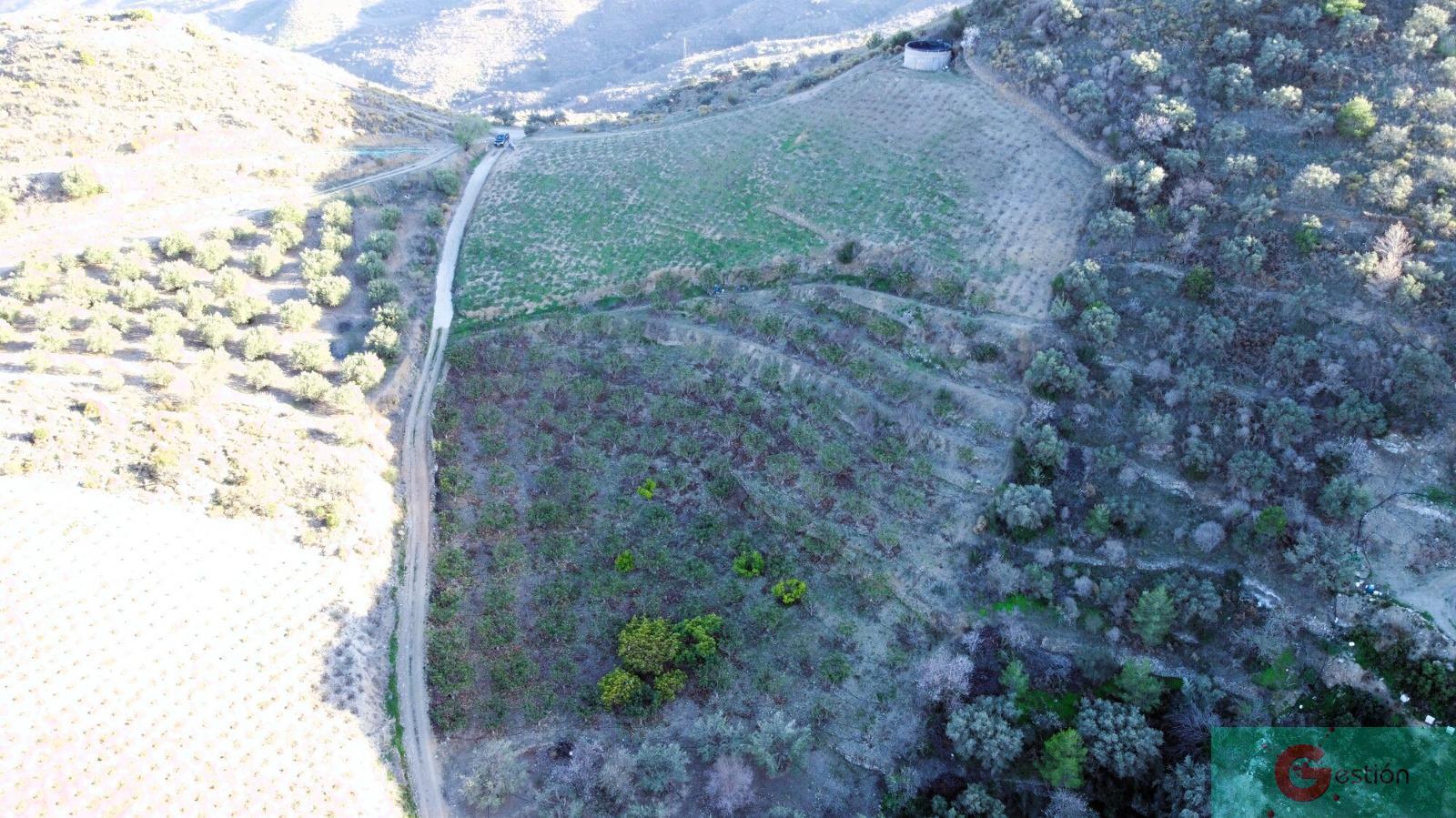 Venta de finca rústica en Itrabo