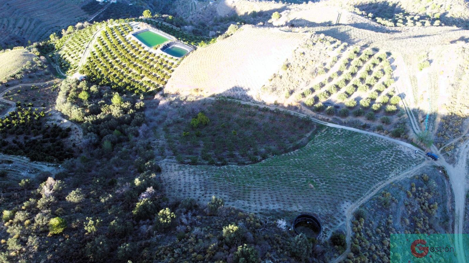 Venta de finca rústica en Itrabo