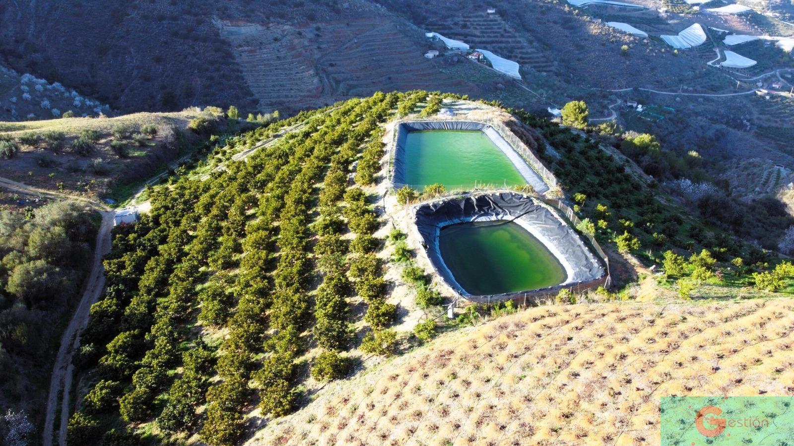 Venta de finca rústica en Itrabo