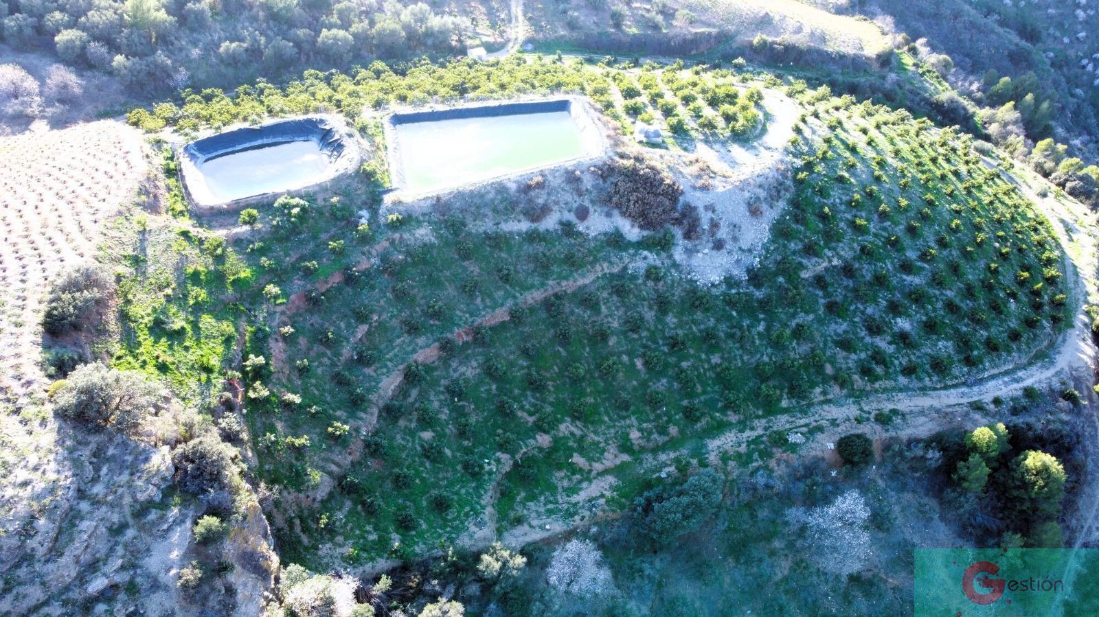 Venta de finca rústica en Itrabo