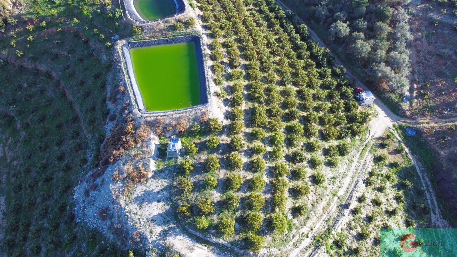 Venta de finca rústica en Itrabo