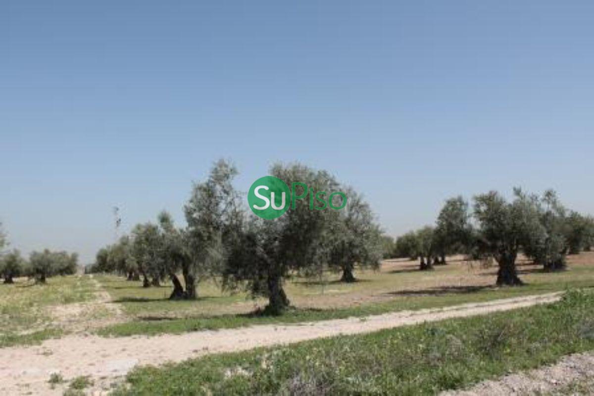 For sale of rural property in Yeles