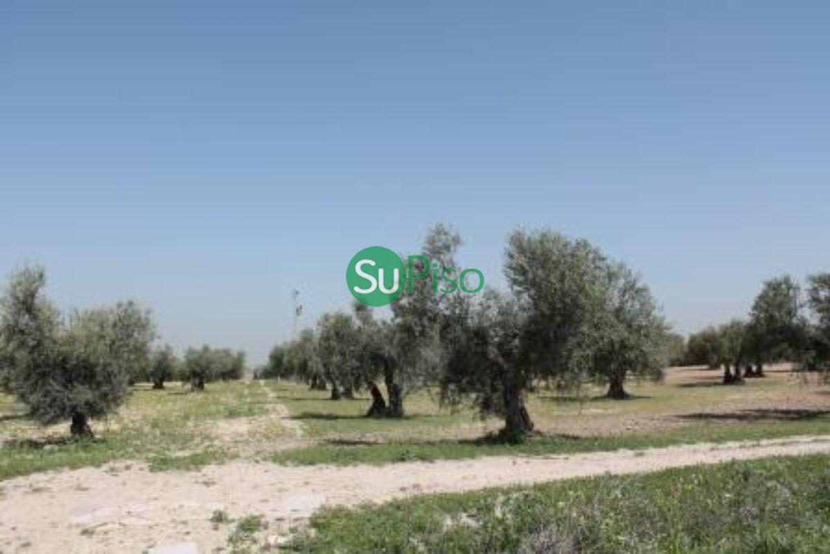 For sale of rural property in Yeles