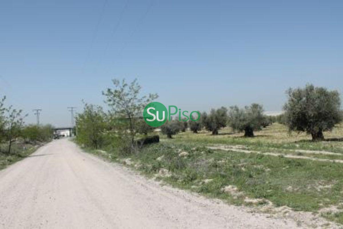 For sale of rural property in Yeles