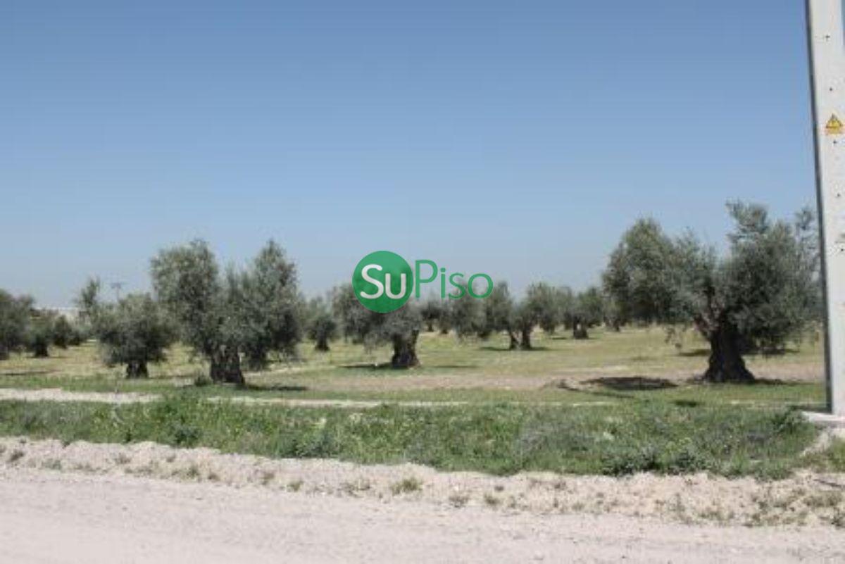 For sale of rural property in Yeles