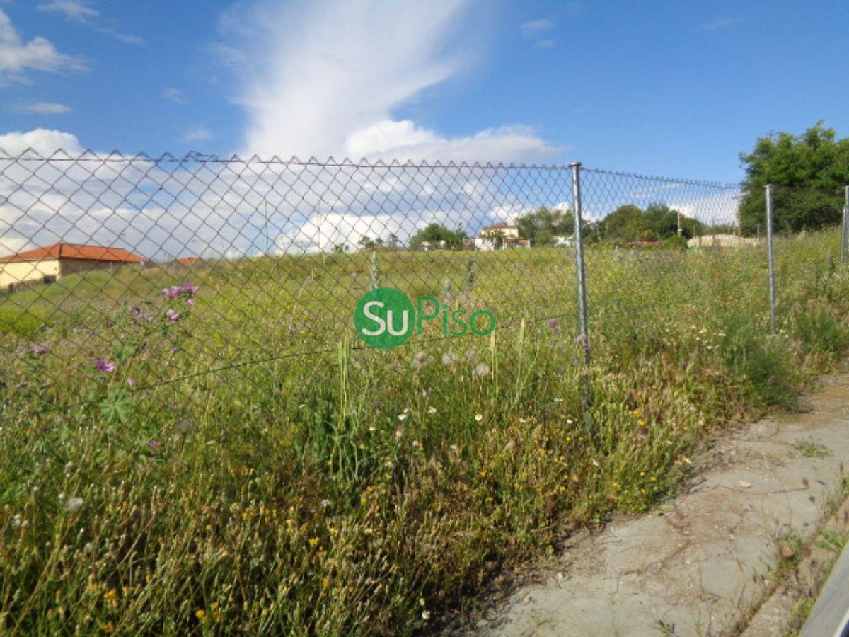 For sale of land in Yeles