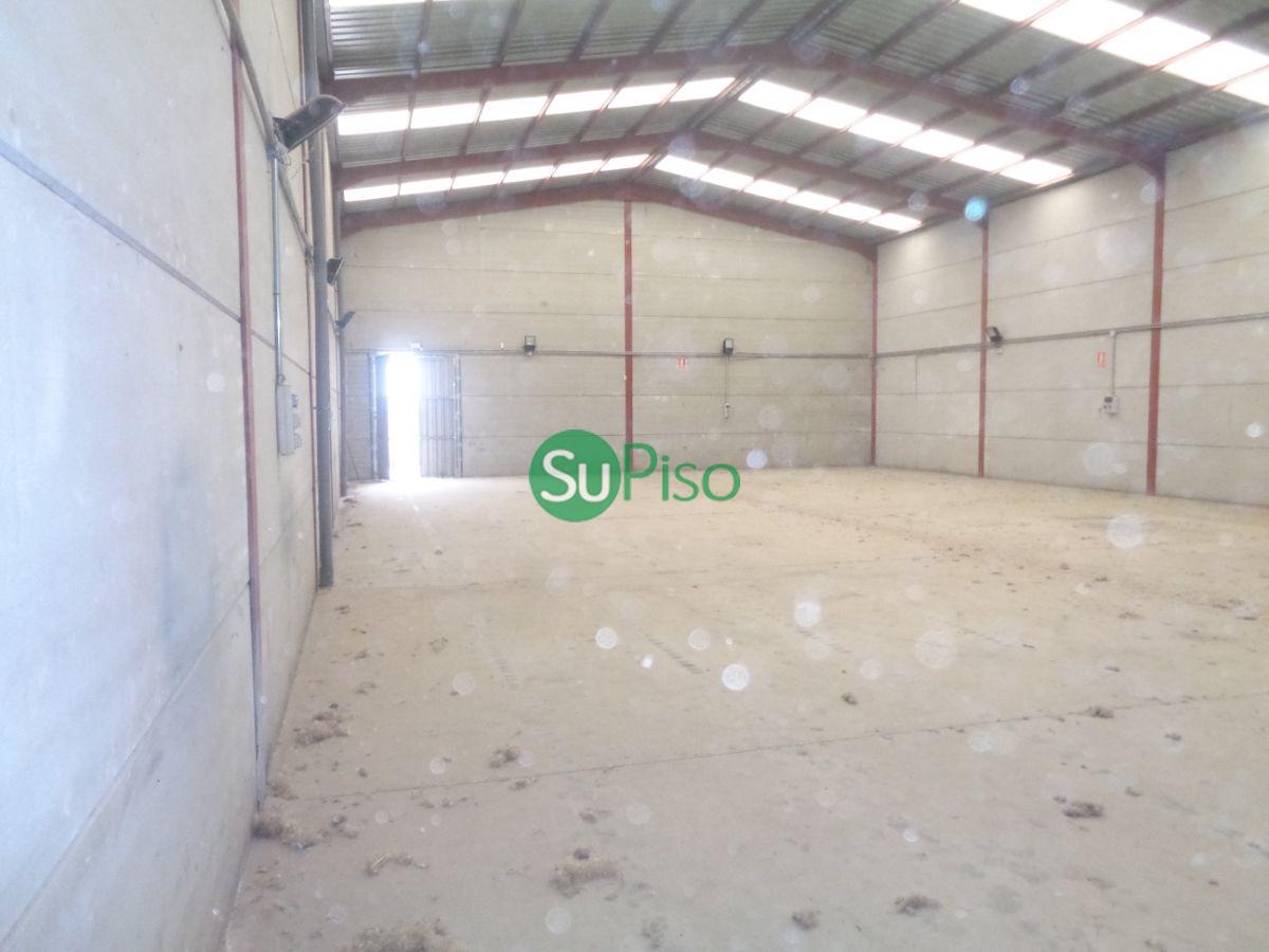 For sale of industrial plant/warehouse in Yeles