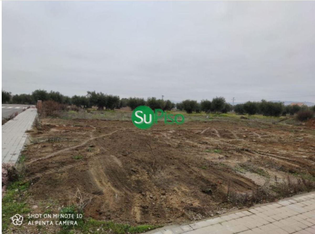 For sale of land in Yeles