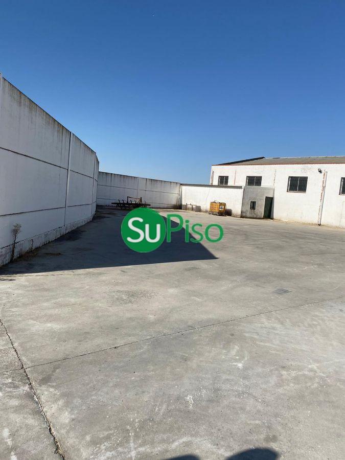 For sale of industrial plant/warehouse in Borox