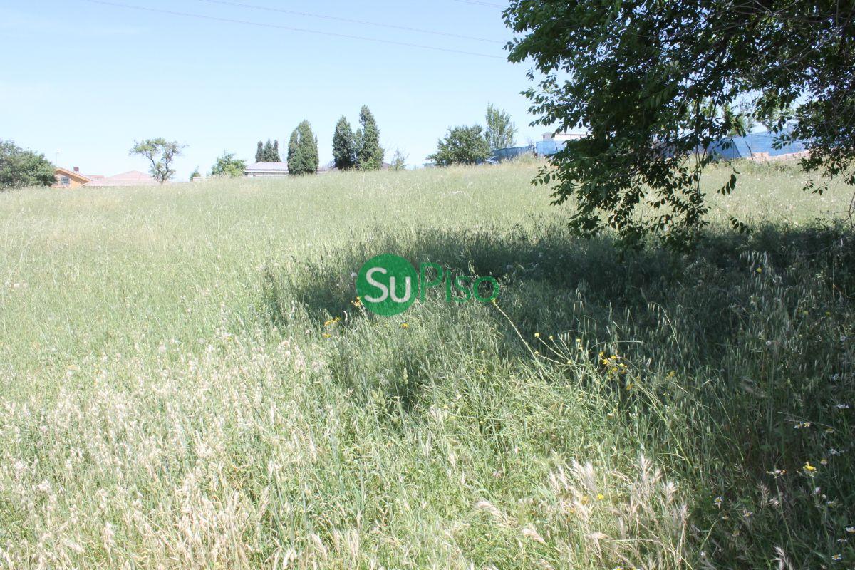 For sale of land in Yeles