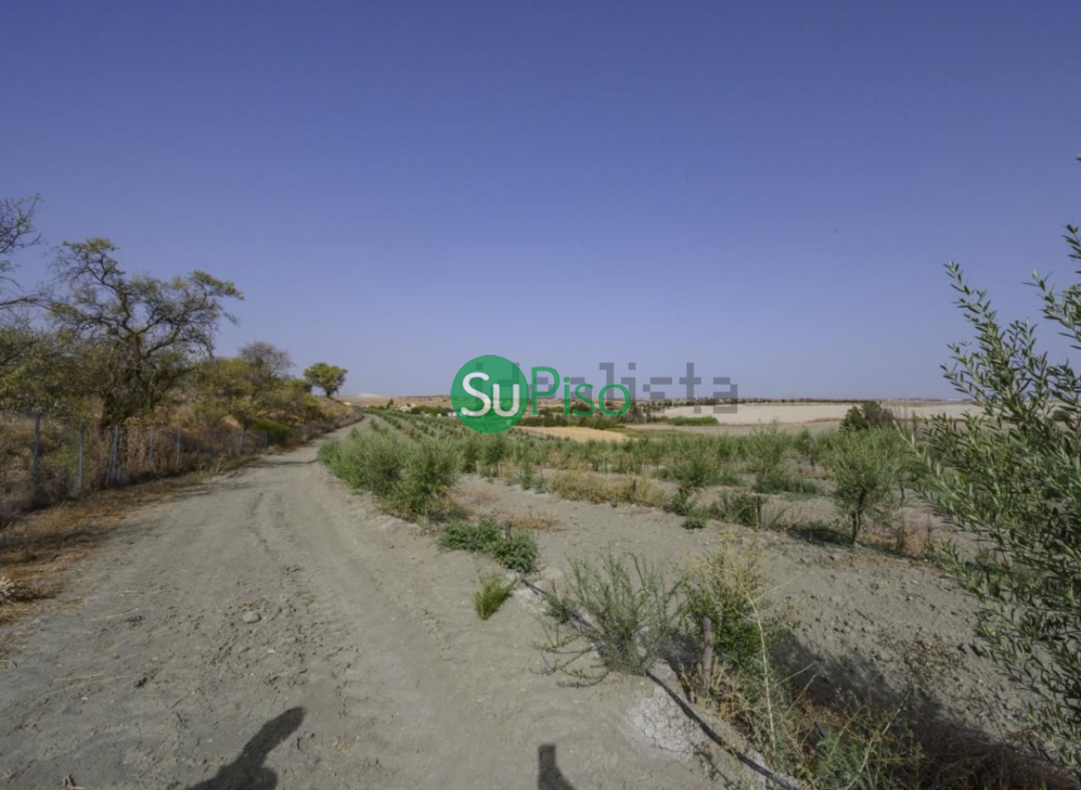 For sale of recreation property in Yeles