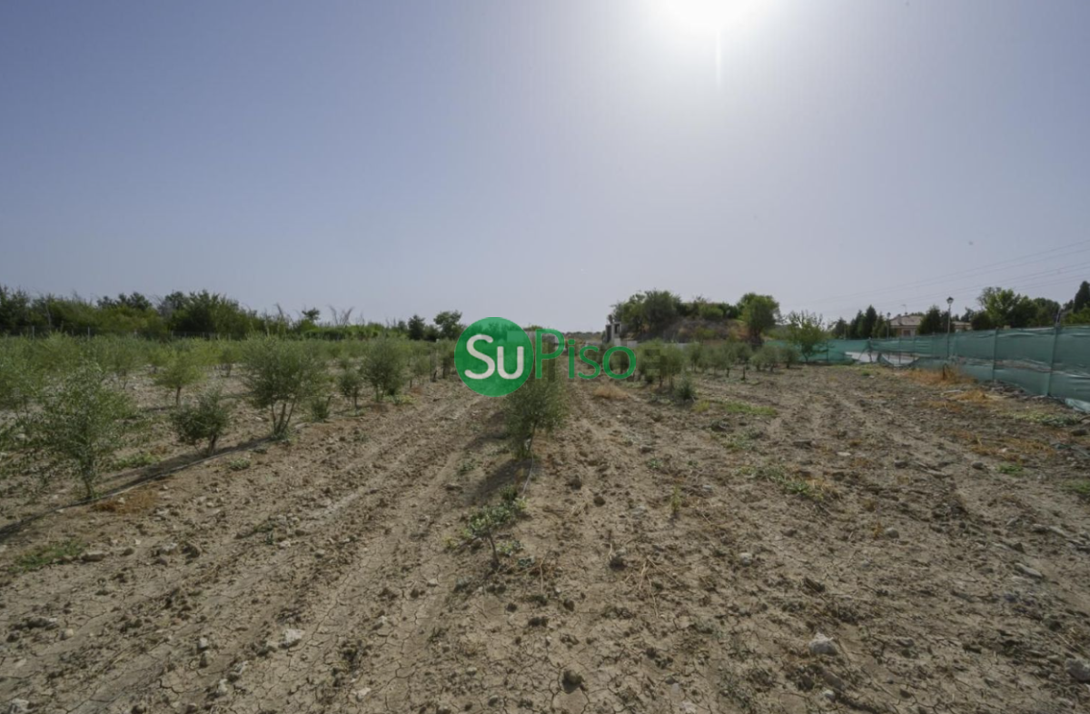For sale of recreation property in Yeles