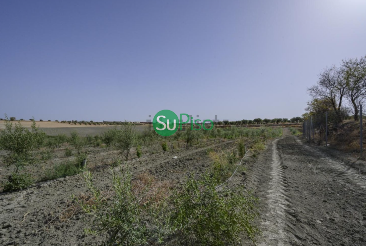 For sale of recreation property in Yeles