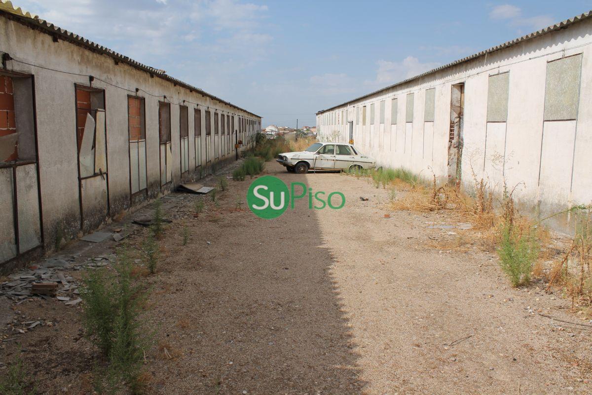 For rent of industrial plant/warehouse in Recas