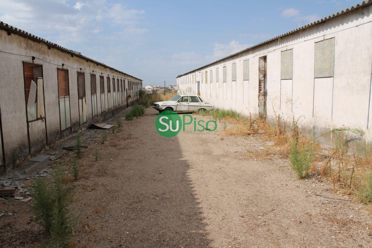 For rent of industrial plant/warehouse in Recas