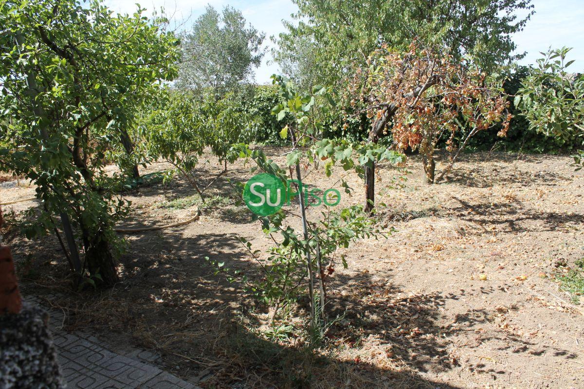 Venta de chalet en El Viso de San Juan