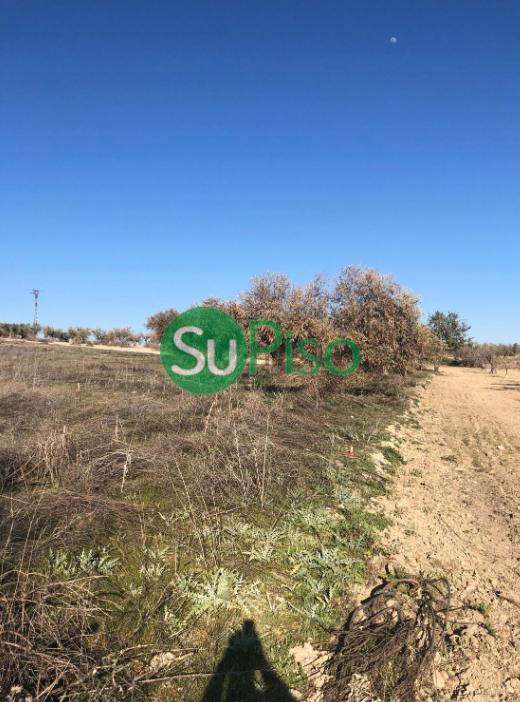 For sale of land in Yeles