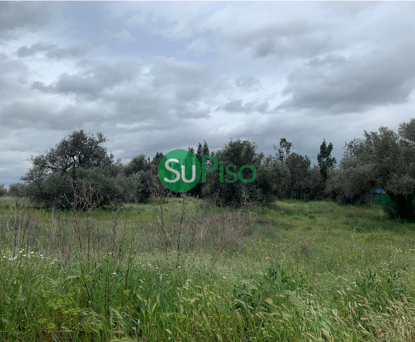 For sale of land in Yeles