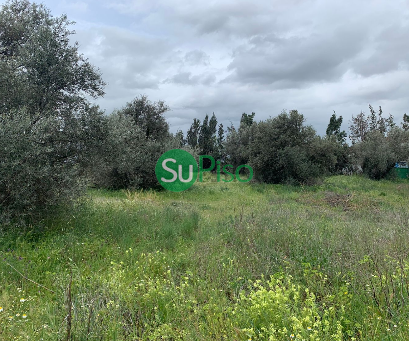 For sale of land in Yeles