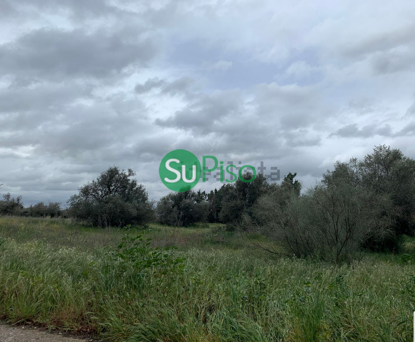 For sale of land in Yeles