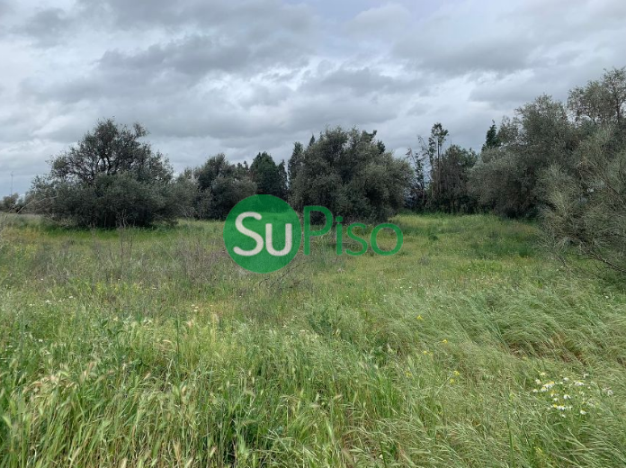 For sale of land in Yeles