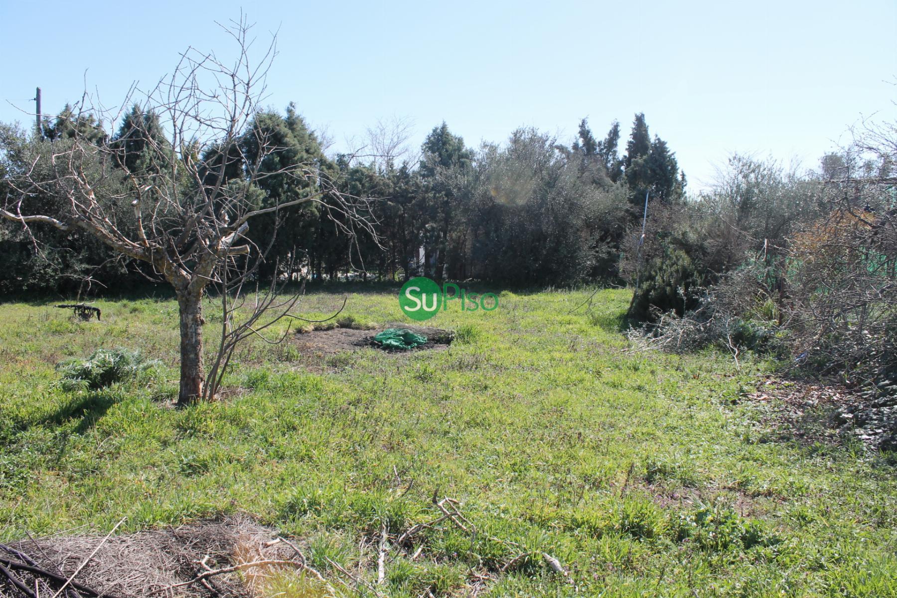 Venta de finca rústica en Yeles