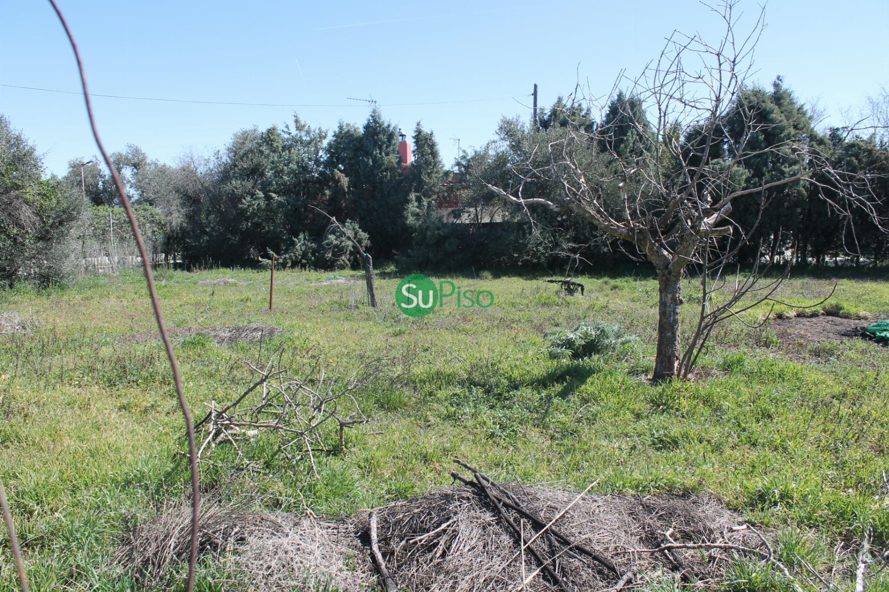 Venta de finca rústica en Yeles
