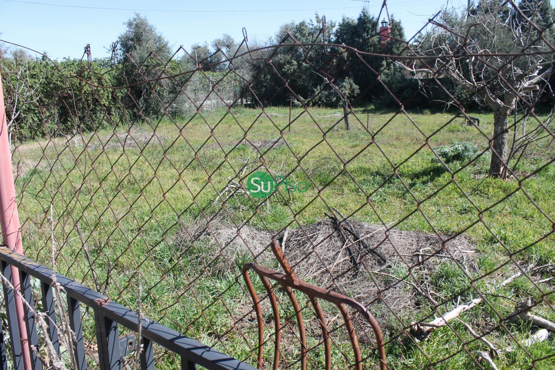 Venta de finca rústica en Yeles