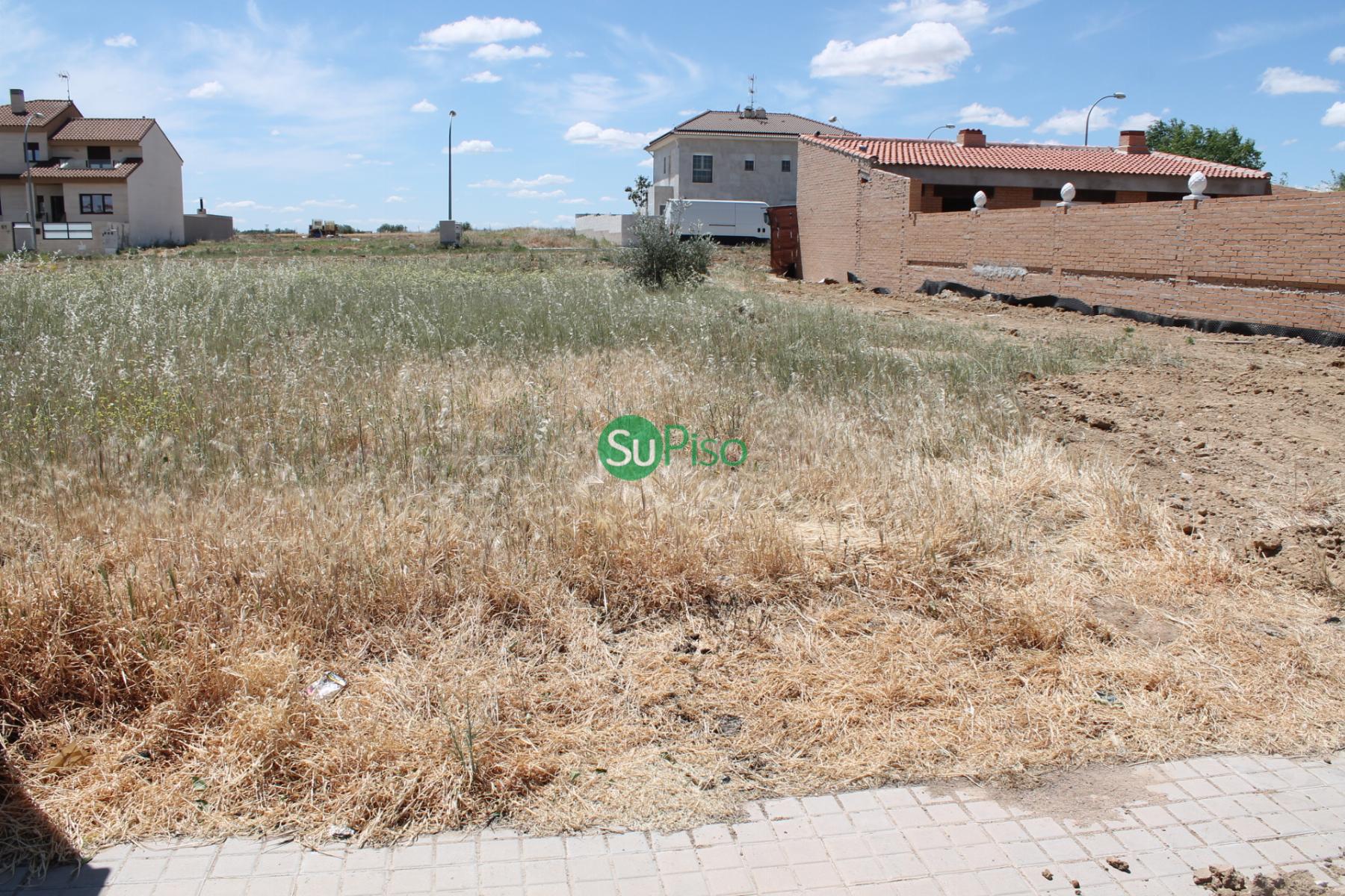 For sale of land in Cedillo del Condado