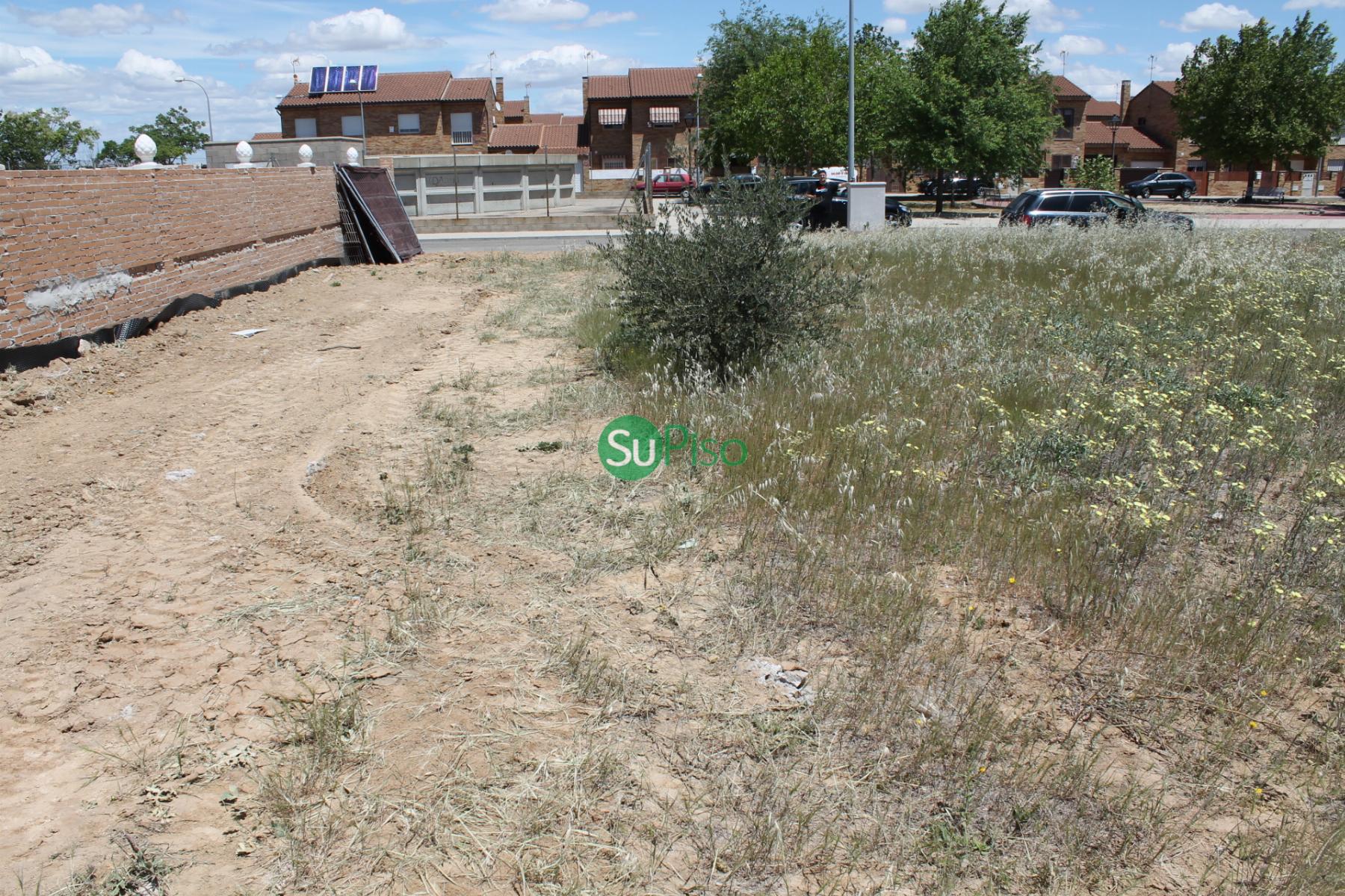 For sale of land in Cedillo del Condado