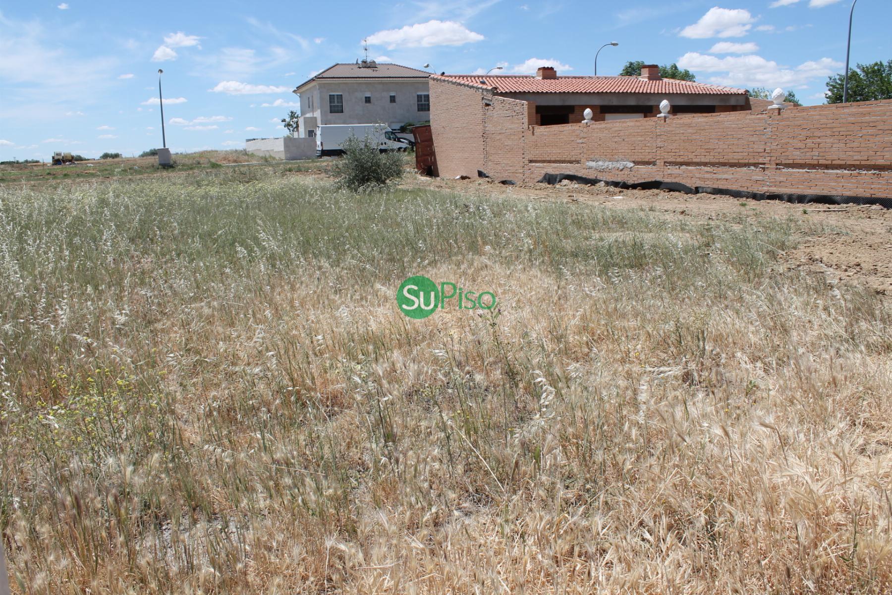 For sale of land in Cedillo del Condado