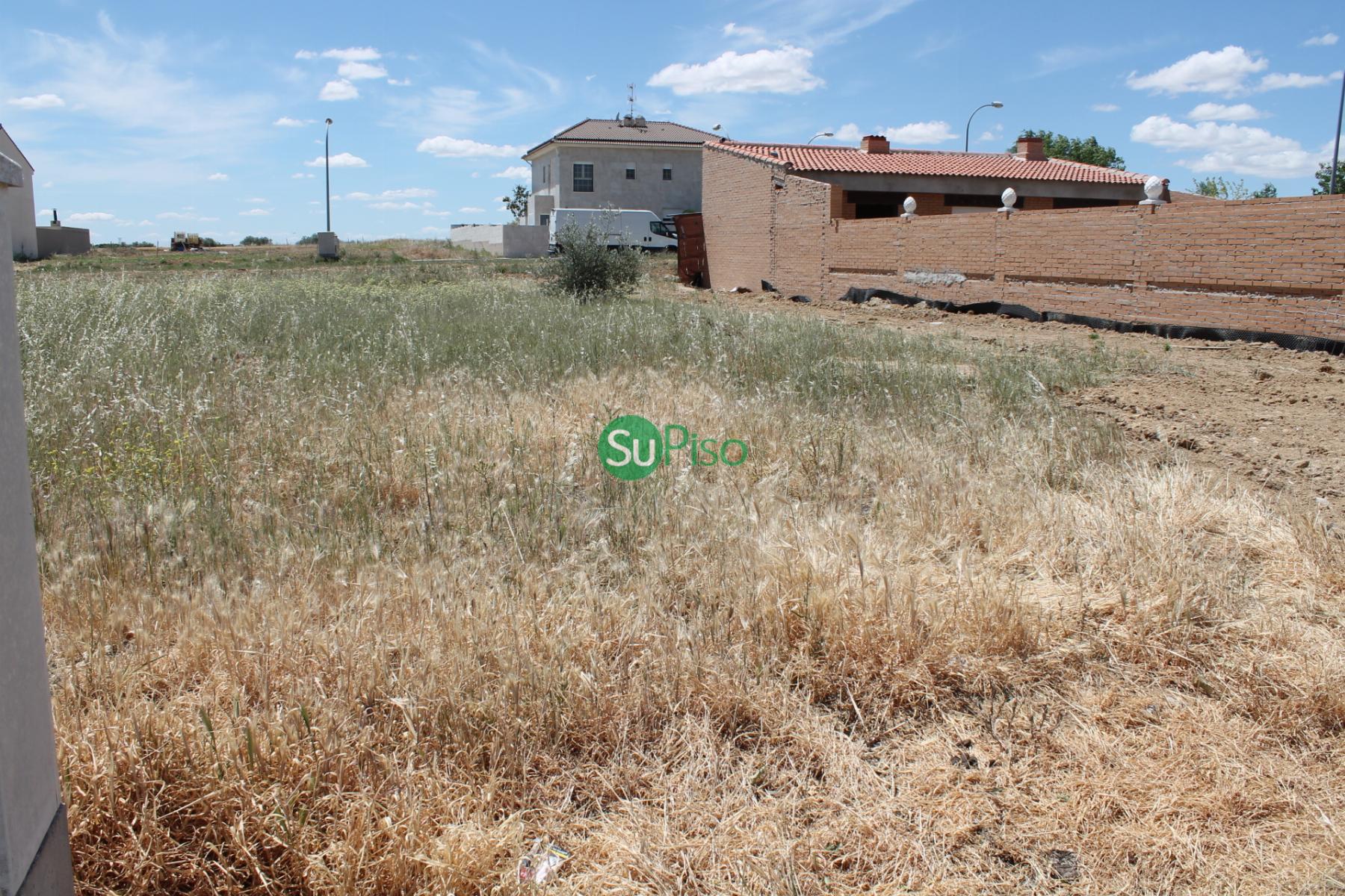 For sale of land in Cedillo del Condado