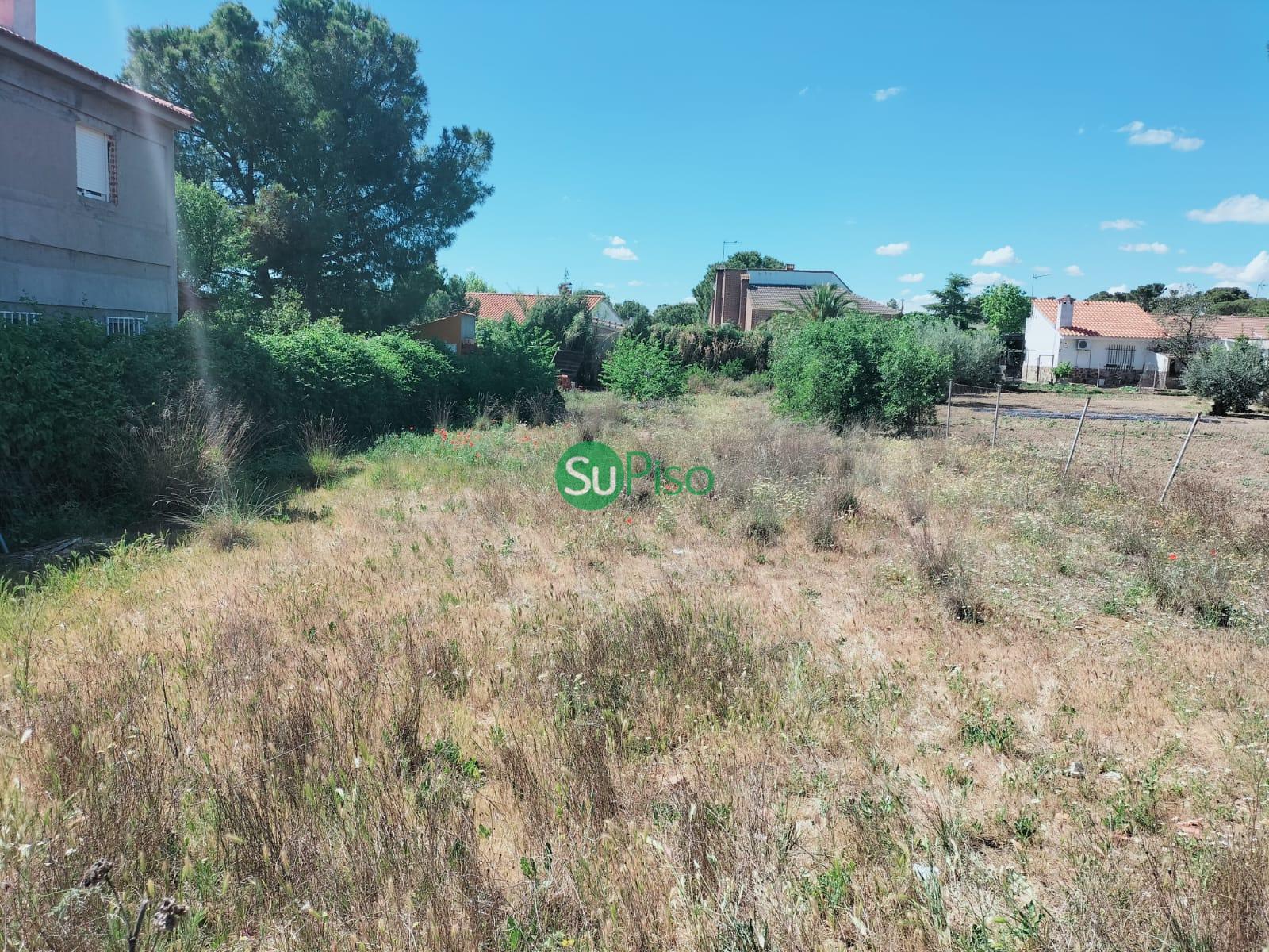 For sale of land in Numancia de la Sagra