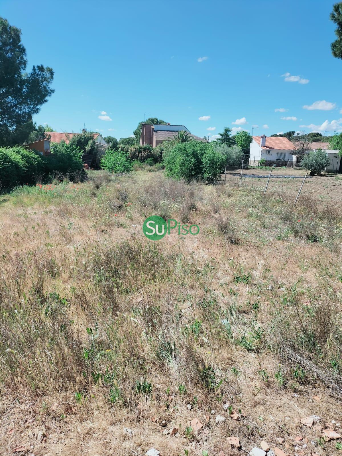 For sale of land in Numancia de la Sagra