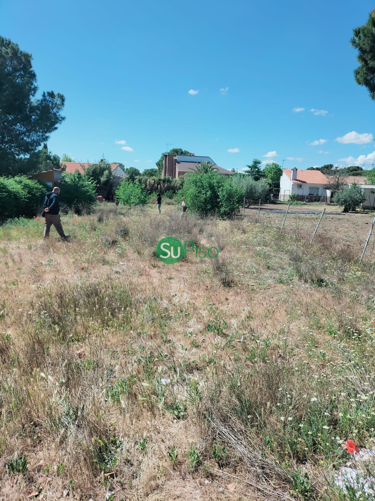 For sale of land in Numancia de la Sagra