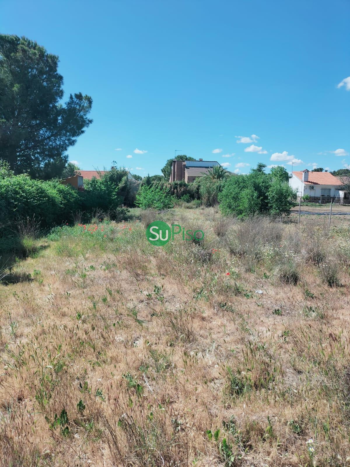 For sale of land in Numancia de la Sagra