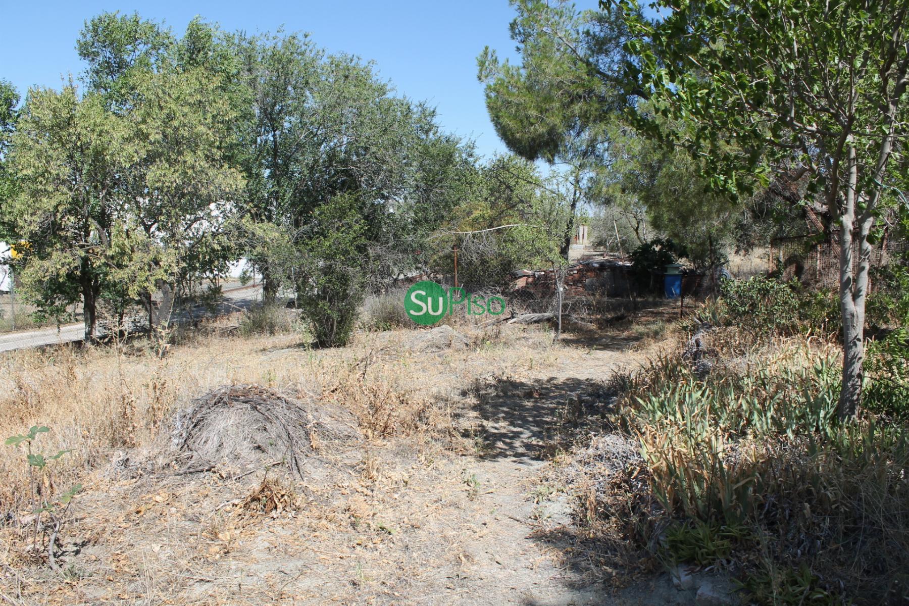 For sale of house in Yeles
