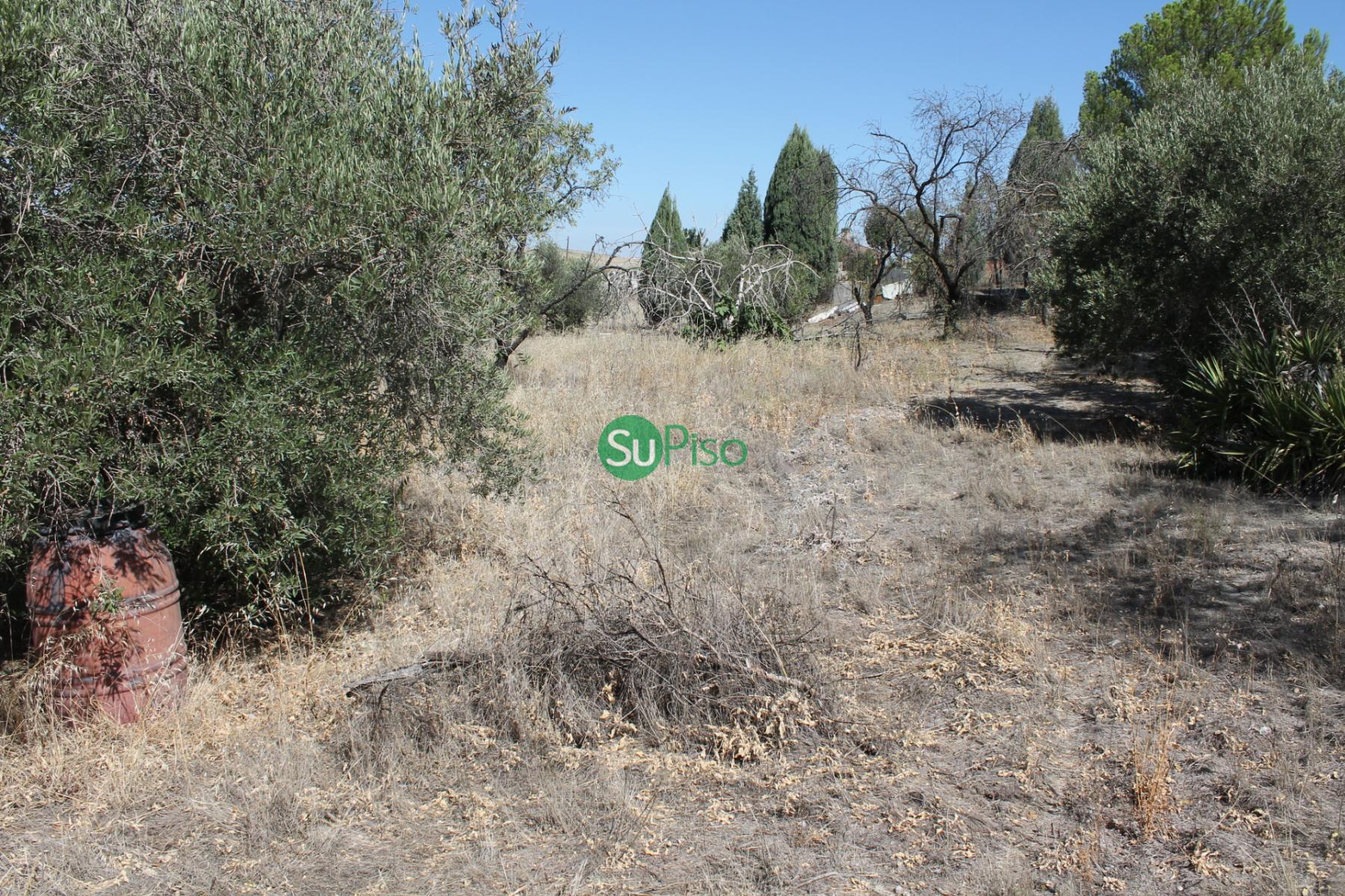 For sale of house in Yeles