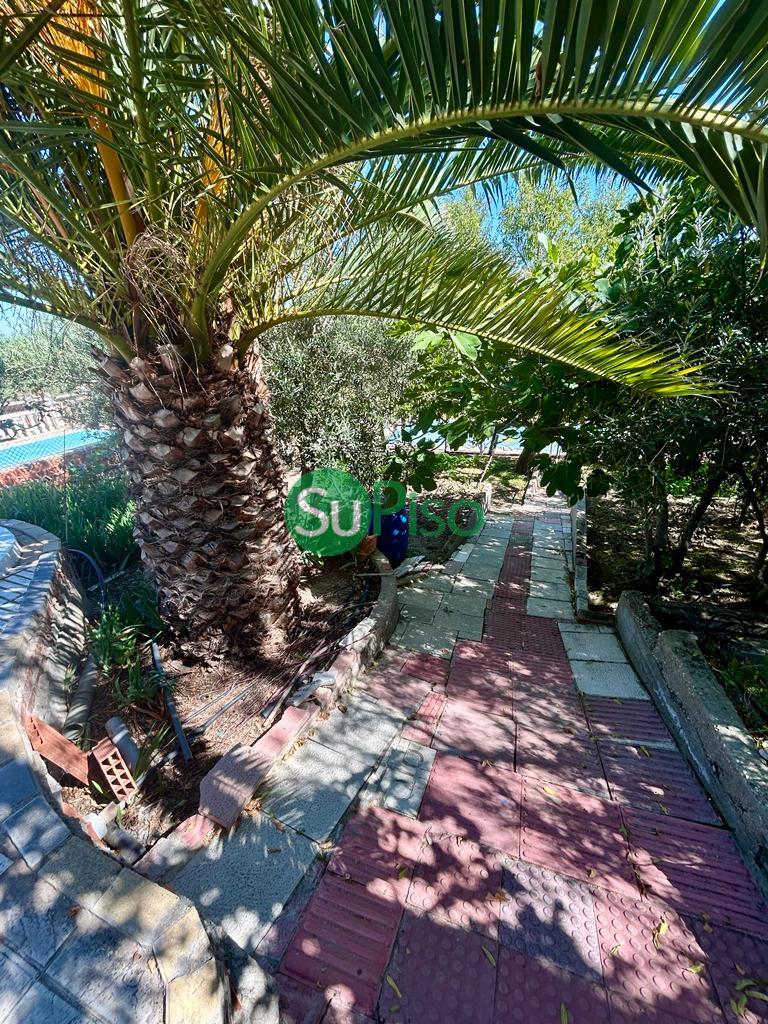 For sale of house in Borox