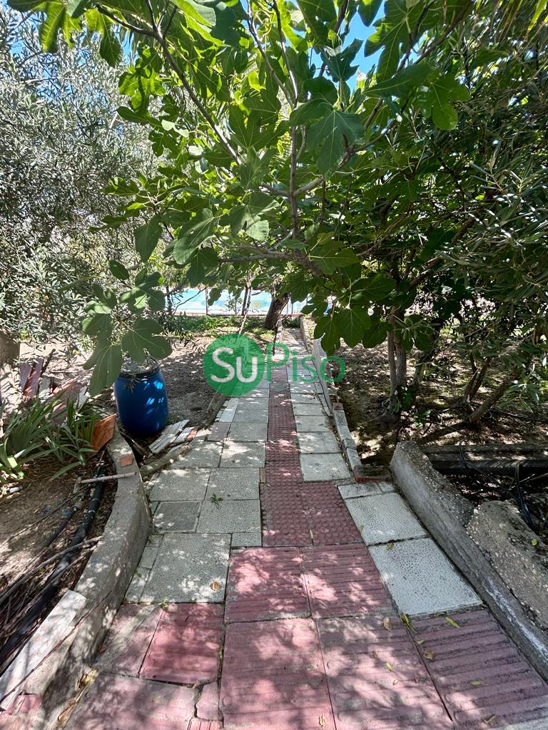 For sale of house in Borox