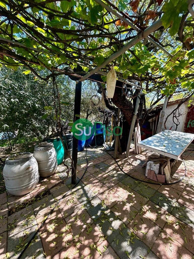 For sale of house in Borox