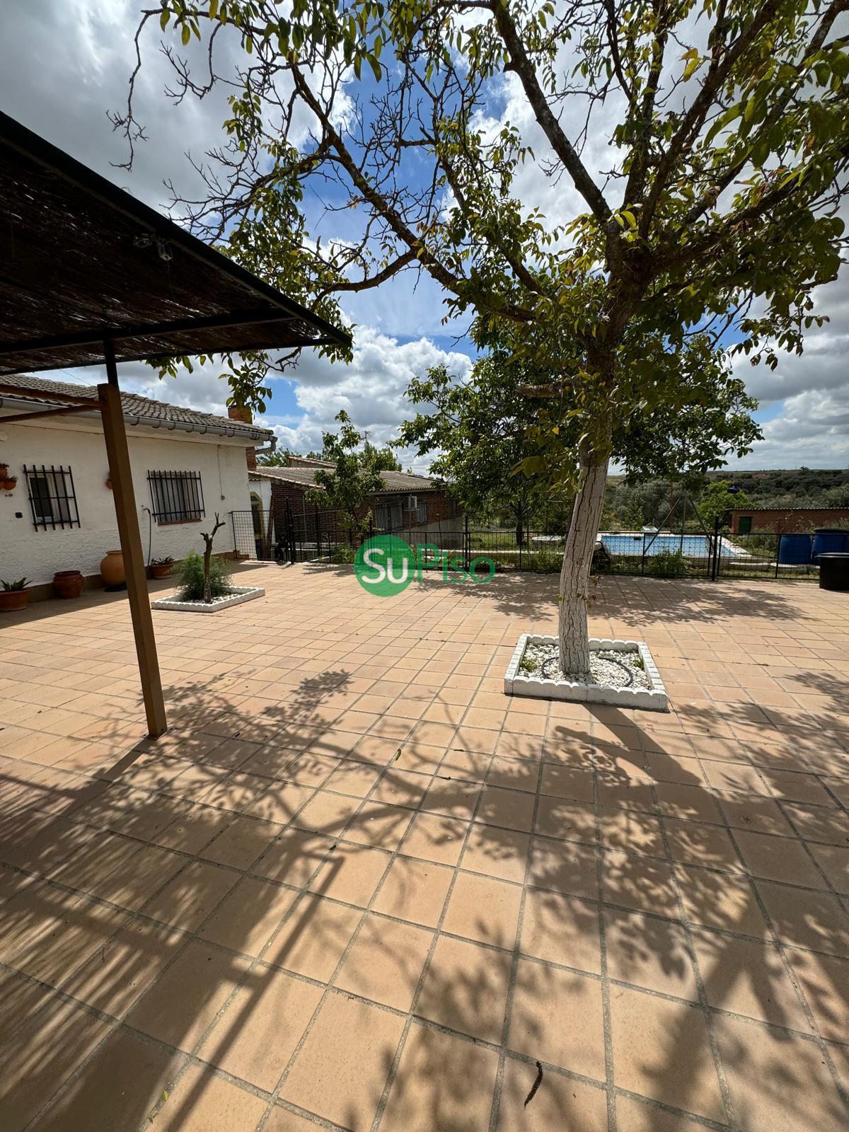 Venta de finca rústica en Palomeque