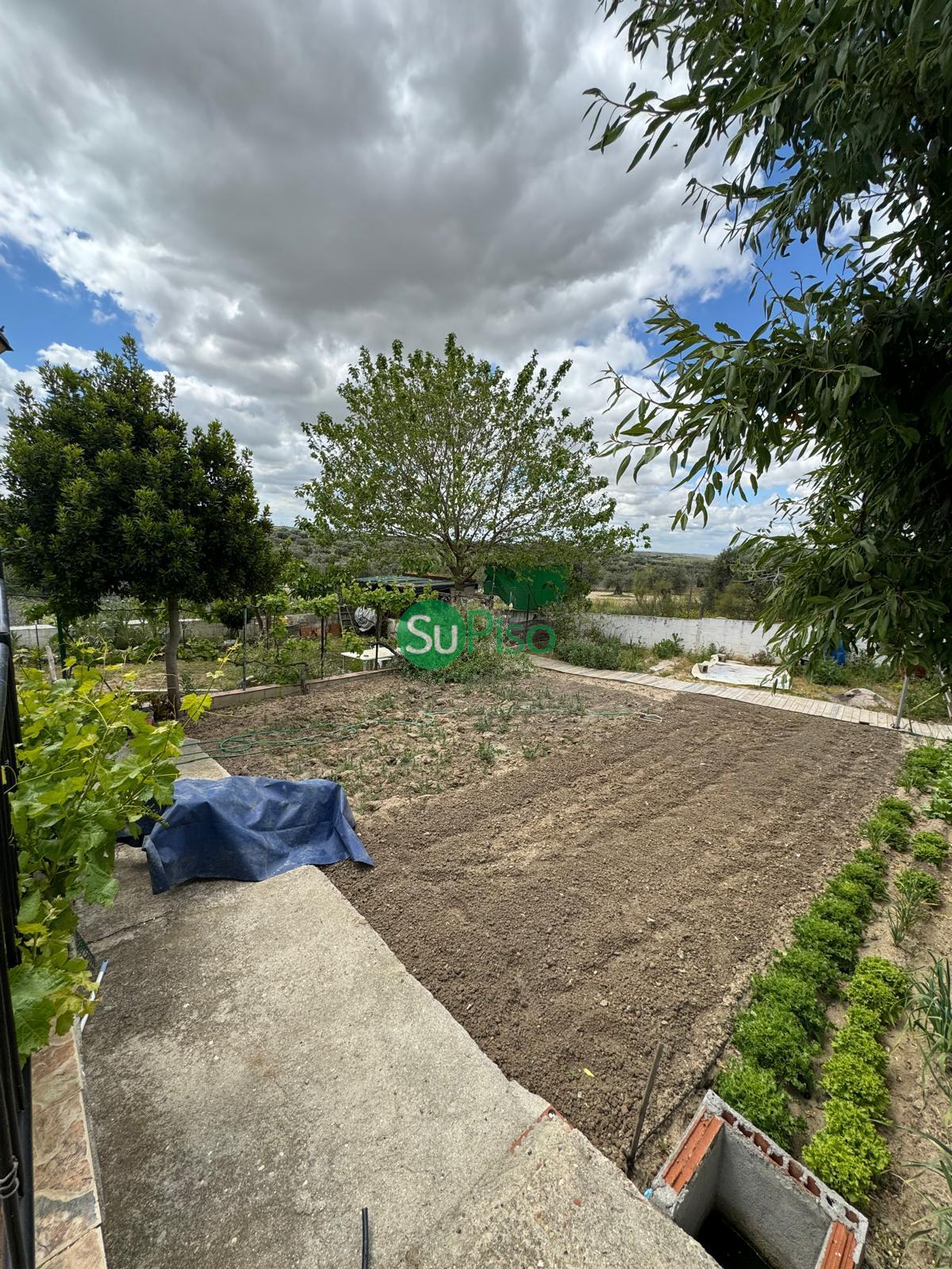 Venta de finca rústica en Palomeque