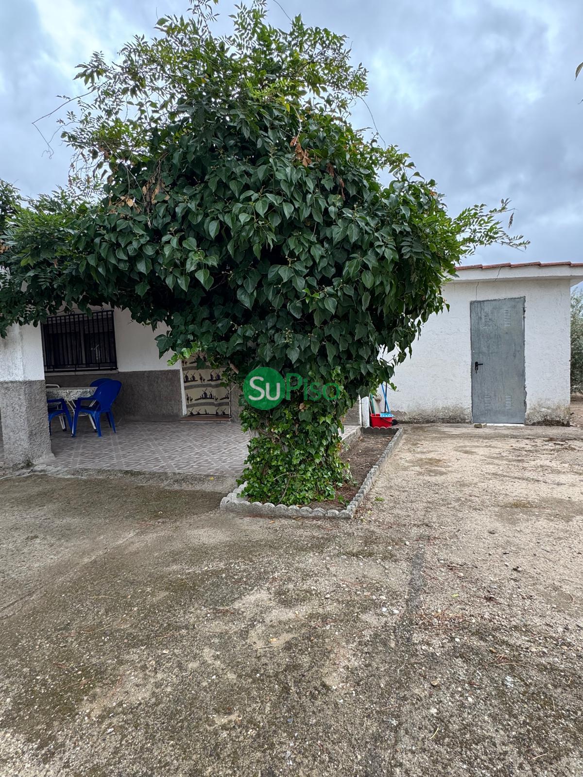 For sale of house in Escalona