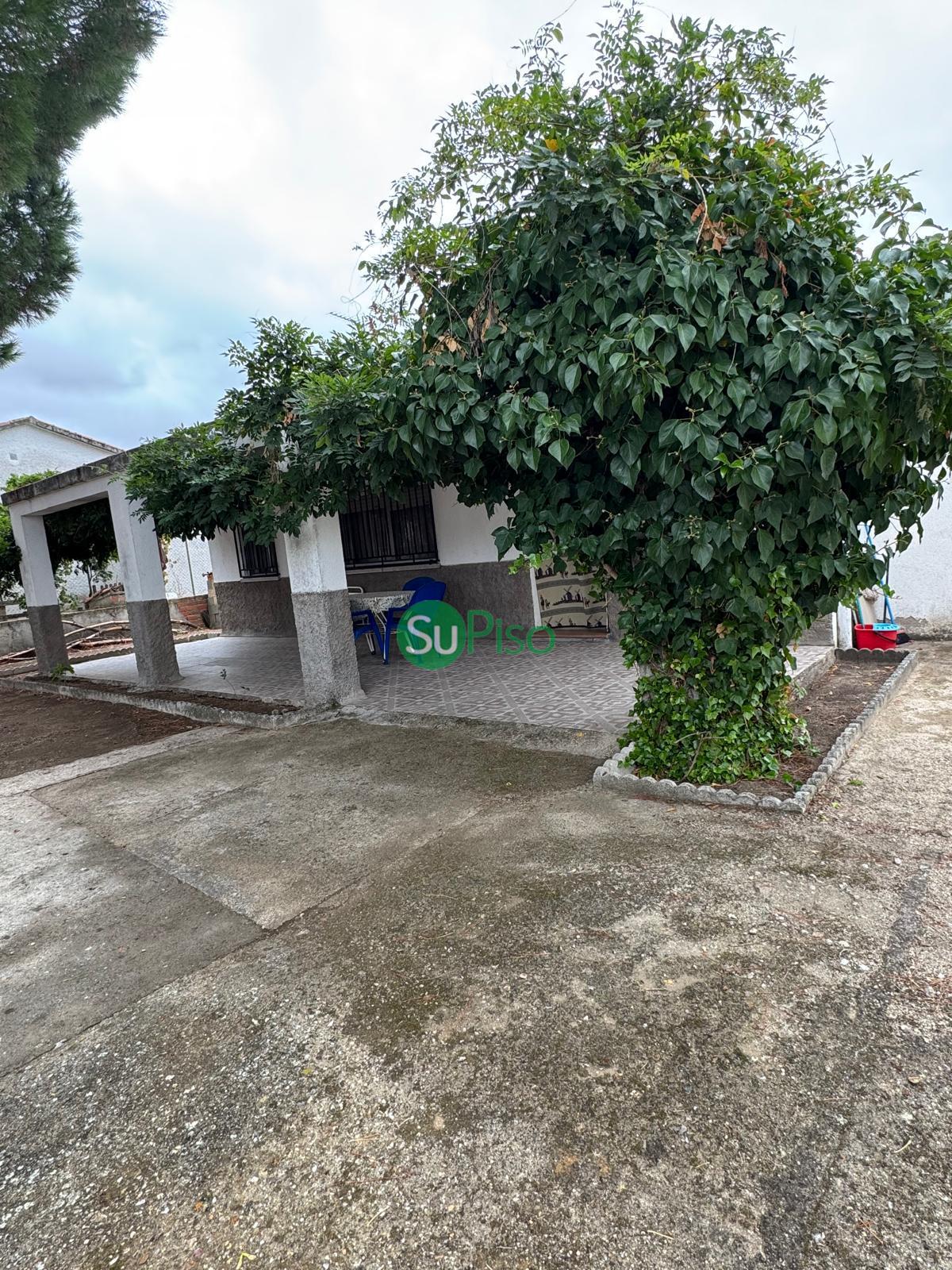 For sale of house in Escalona