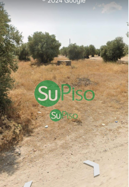 For sale of land in Yeles