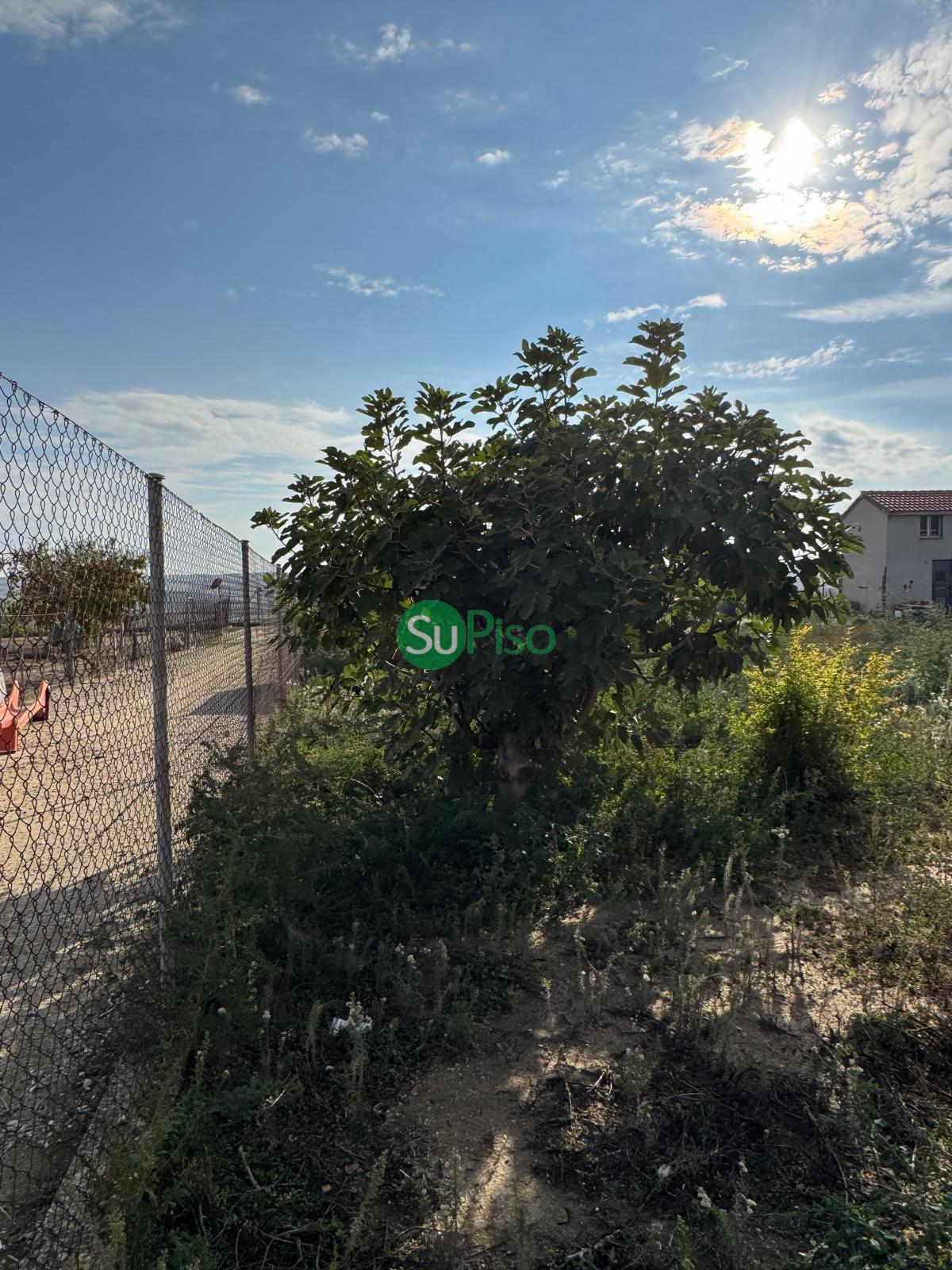 For sale of land in Numancia de la Sagra